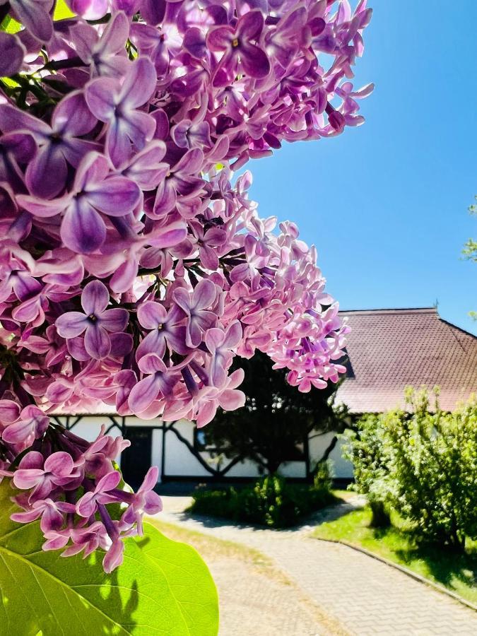 Ferienwohnung Zur Rebe Middelhagen Exterior foto